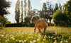 Spring Activities with Your Baby: 6 Outdoor Ideas for Warmer Weather