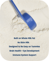 Infant Formula